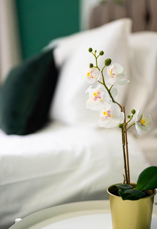 Comfortable House In Nuneaton Sleeps5 Free Parking Good Amenites 外观 照片